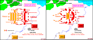 Общая схема битвы при Каннах 216&nbsp;г. до Р.Х.