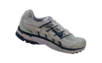Женская модель Nike Pegasus 2006.png