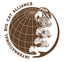 Изображение логотипа