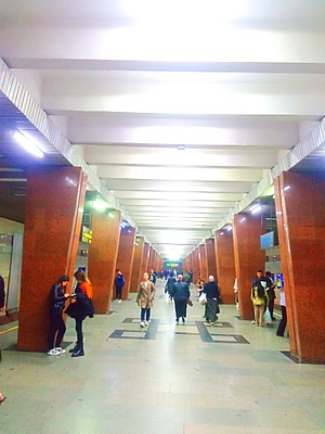 Mirzo Ulugbek station.jpg