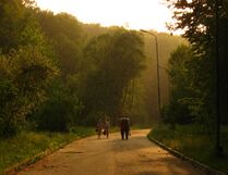 Погулянка центральная аллея.jpg