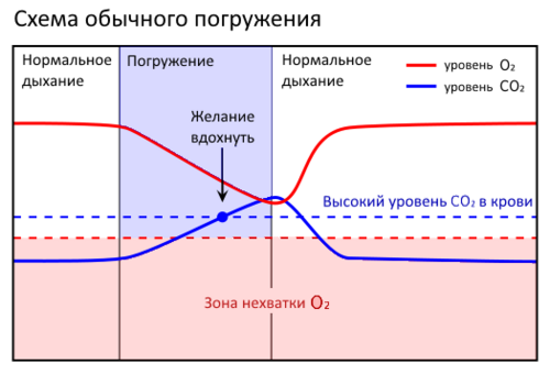 Схема потеря сознания на малой глубине 1.png