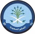 Saudi Hawks.jpg