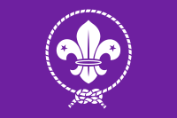 World Organization of the Scout Movement flag.svg