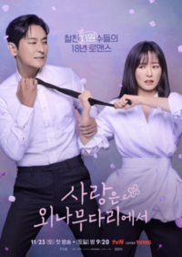 Love Your Enemy poster.png