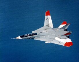 F-14 выполняет полёт с разной стреловидностю консолей