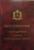 Почётный диплом многодетной матери Нижегородской области.png