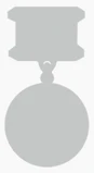 Noimage (medal).png