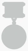 Noimage (medal).png