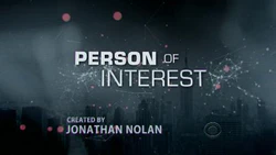 Person of interest.jpg