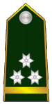General-pukovnik