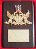 Знак Губернатора Ростовской области «Во благо семьи и общества».jpg