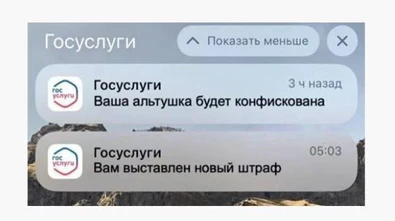 Мем госуслуги.jpg