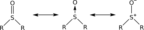 Sulfoxides bonds.svg