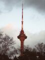 Tallinna teletorn.jpg