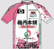 Meitan Hompo jersey 2009.jpg