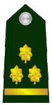 Brigadir