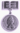 Премия правительства СПб (знак).png