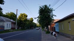 Улица Толстого (Чернигов) 2.jpg