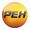 REN TV logo 2011.jpg