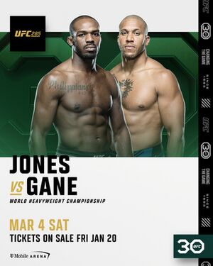 Jones vs Gane.jpeg