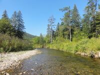 Ikha river.jpg