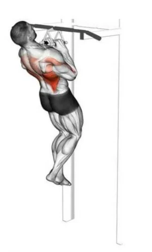 Подтягивания нейтральным хватом.jpg