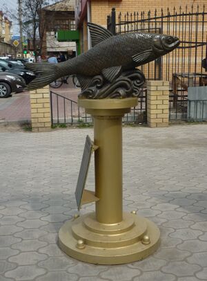 Вобла-кормилица.jpg