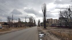 Любечская улица (Чернигов) 5.jpg