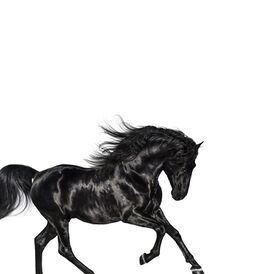 Old Town Road — Рувики: Интернет-энциклопедия