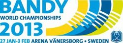 BandyVM-logo2013.jpg