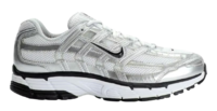 Nike Air Pegasus 2006.png
