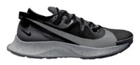 Nike Pegasus Trail 2.png
