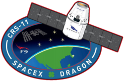 SpaceX CRS-11 patch2.png