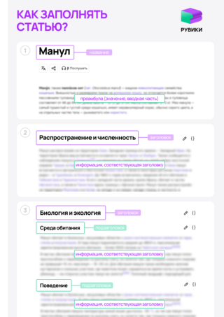 Основные элементы статьи