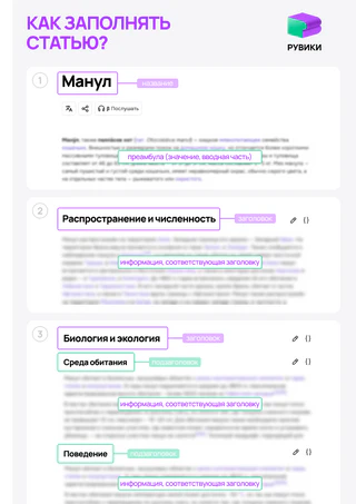 Основные элементы статьи