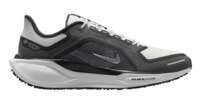 Nike Pegasus 41 Gore-Tex.png