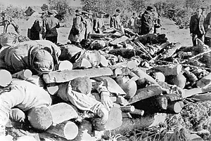 Тела евреев&nbsp;— узников концлагеря «Клоога» (Эстония), расстрелянных перед приходом Красной армии. Трупы сложены в специальные пирамиды для сожжения. Фотография, 1944&nbsp;год. Государственный архив Российской Федерации