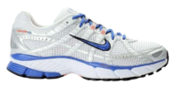 Nike Air Pegasus 2007.png