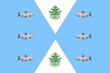 Флаг